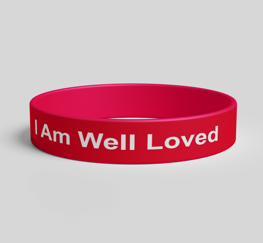 4-Pack Adjustable Bands